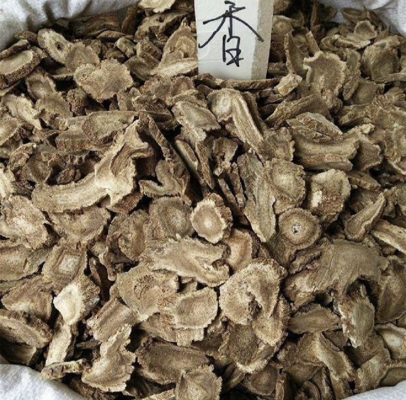木香，广木香云木香实拍现货24小时内发货