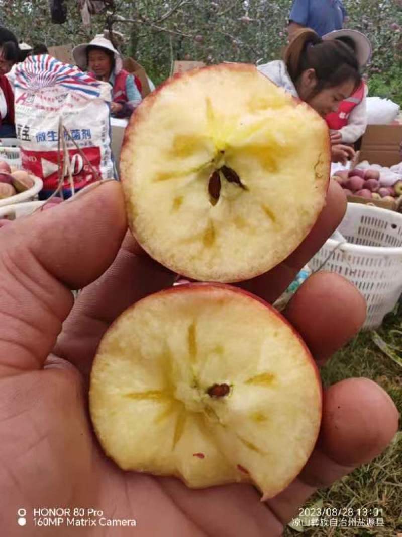 冰糖心苹果盐源苹果丑苹果专业代办