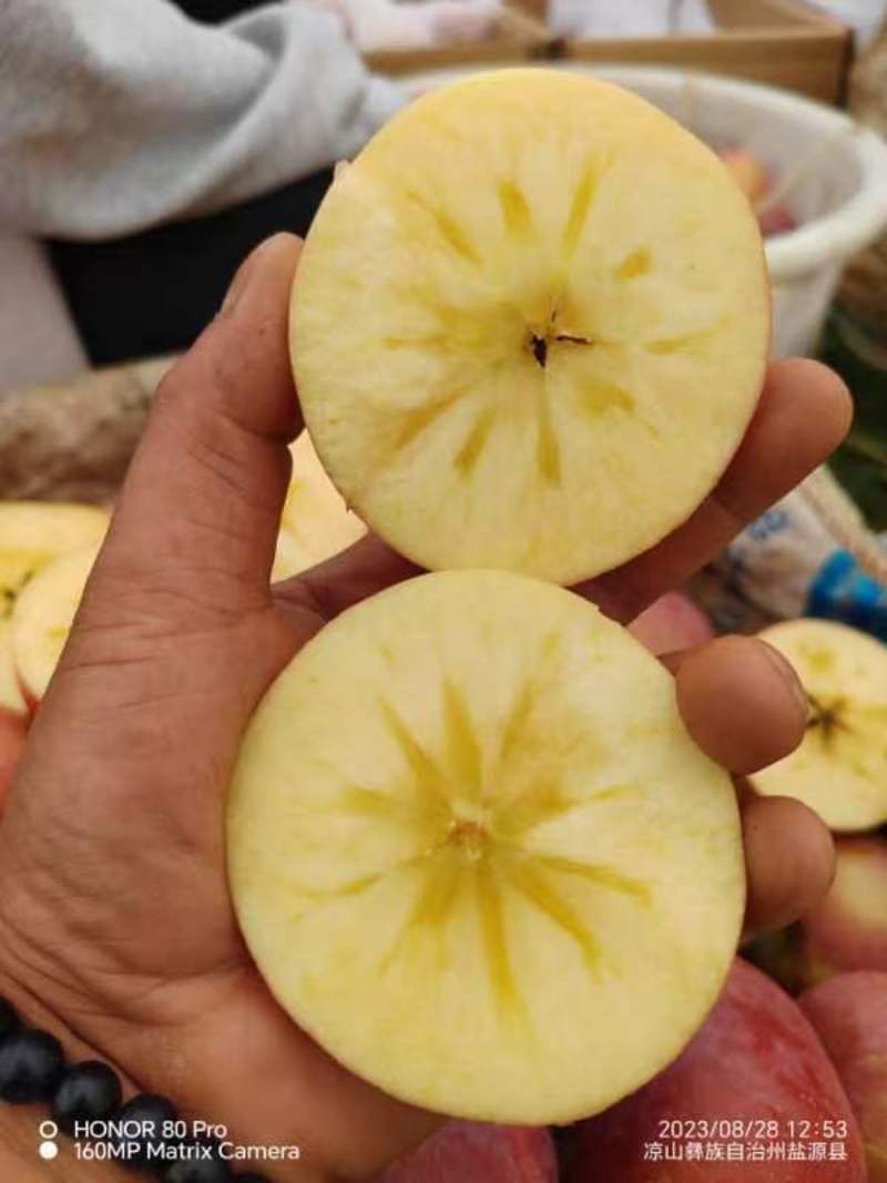 凉山苹果盐源苹果丑苹果糖心苹果专业代办