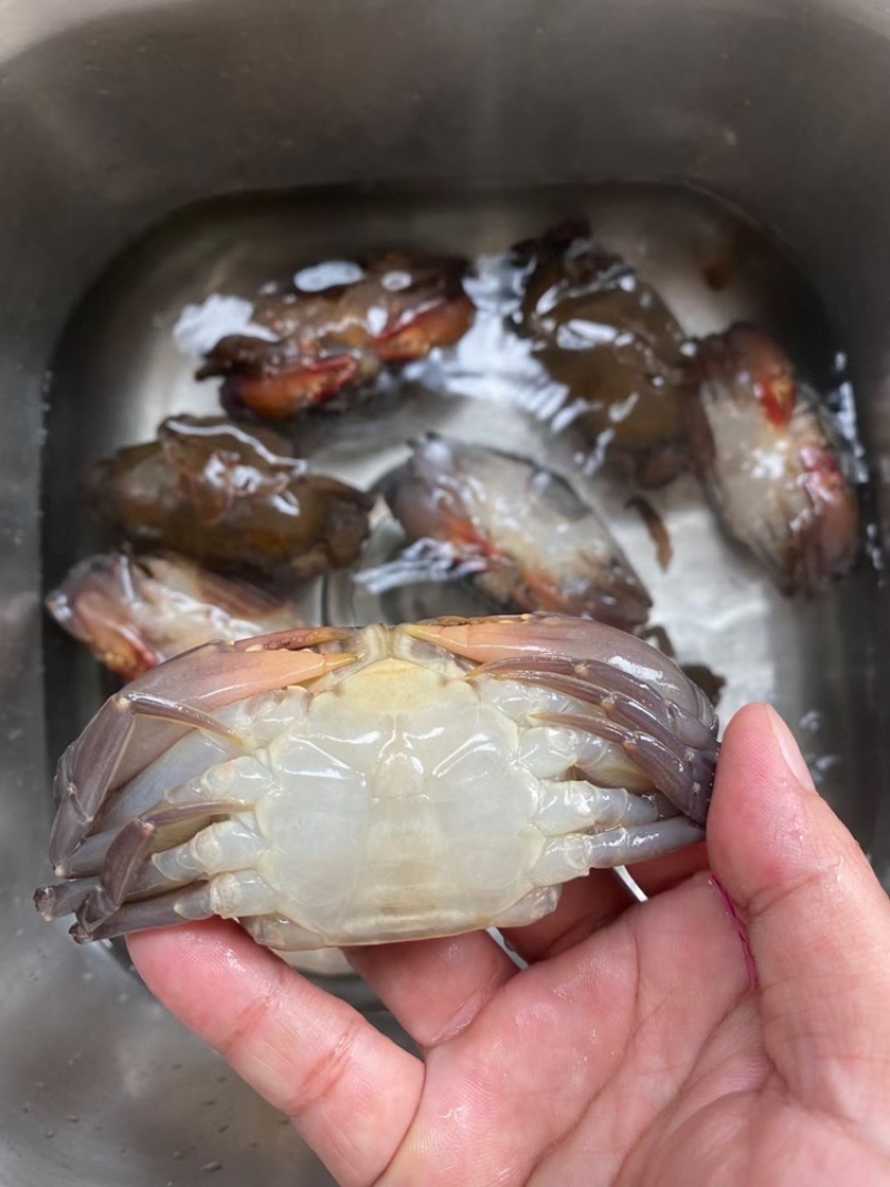 新鲜冷冻软壳青蟹800gx8盒酒店商用水产食材