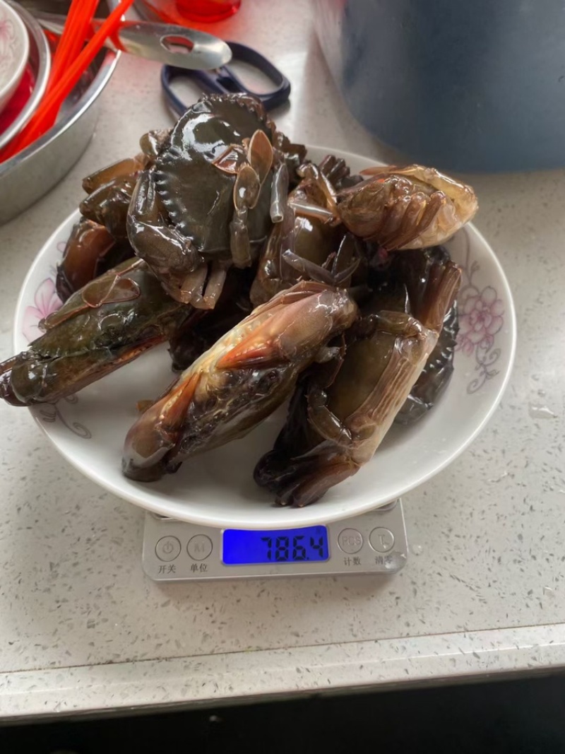 新鲜冷冻软壳青蟹800gx8盒酒店商用水产食材
