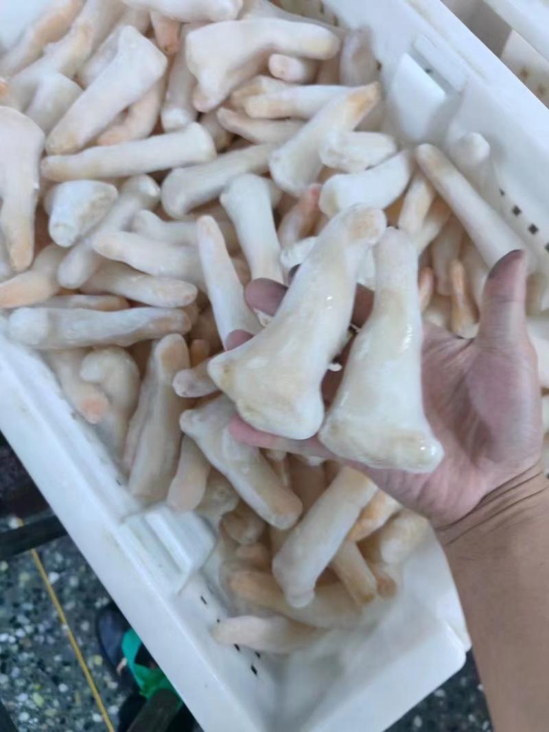 新鲜冷冻刺身象拔蚌日料商用毛重两斤一包净重1-1.2斤