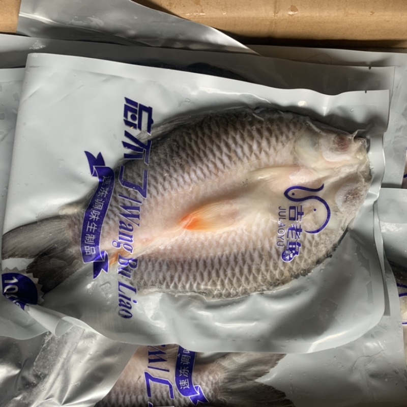 新鲜冷冻苏丹鱼皇帝鱼忘不了鱼全规格酒店宴席商用