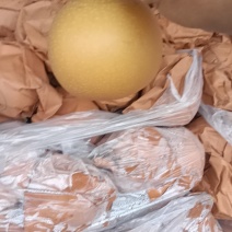 秋月梨