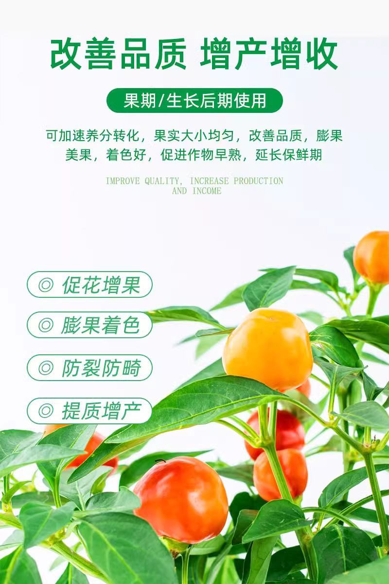 十二元素全营养叶面肥促根壮苗促生长提高产量膨果着色