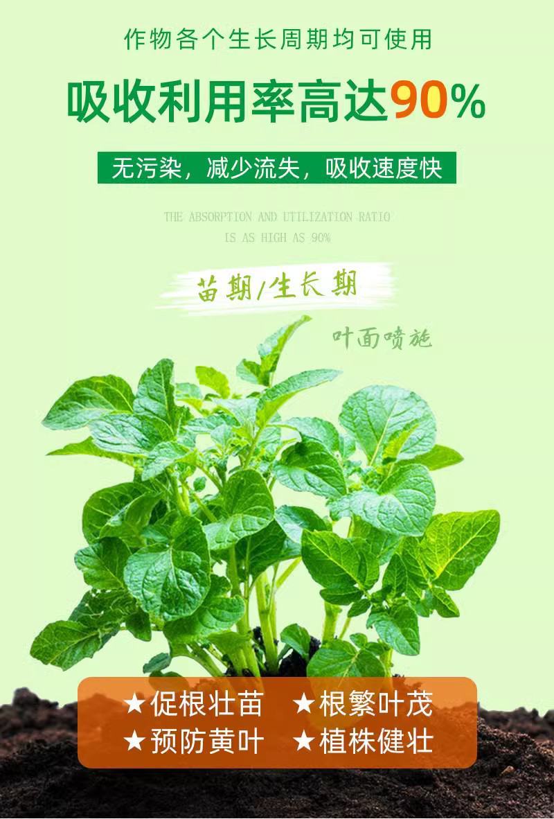 十二元素全营养叶面肥促根壮苗促生长提高产量膨果着色