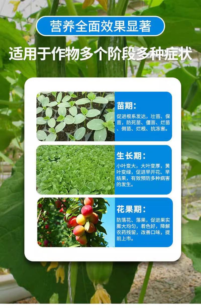 十二元素全营养叶面肥促根壮苗促生长提高产量膨果着色