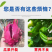 十二元素全营养叶面肥促根壮苗促生长提高产量膨果着色