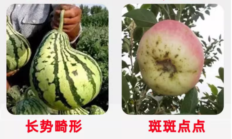 十二元素全营养叶面肥促根壮苗促生长提高产量膨果着色