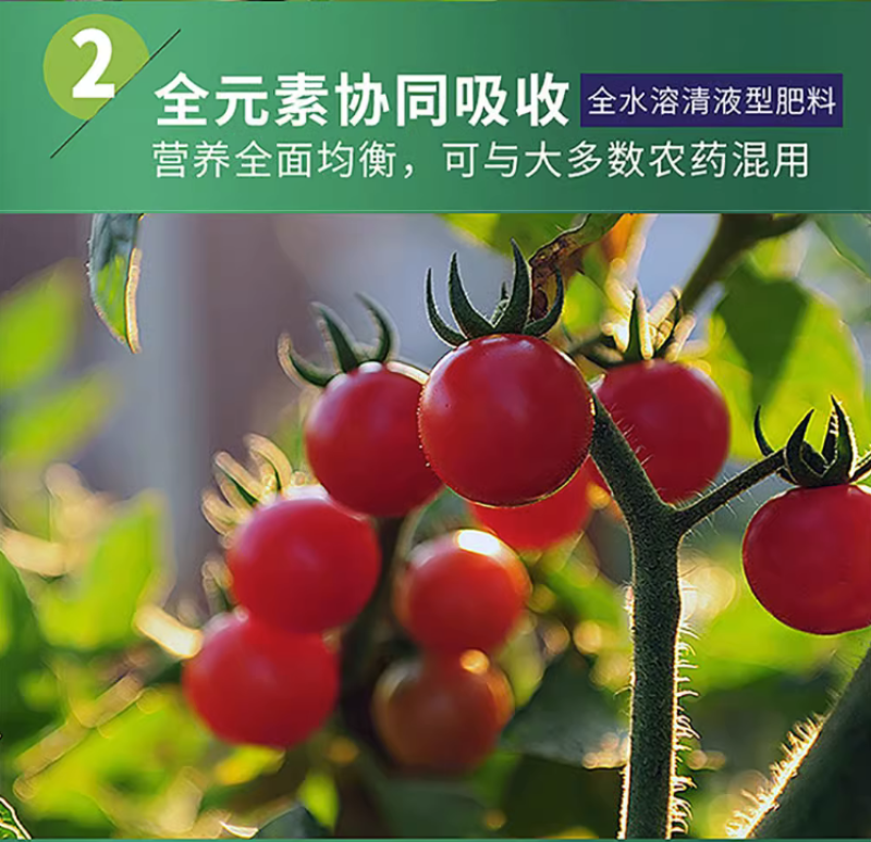 十二元素全营养叶面肥促根壮苗促生长提高产量膨果着色