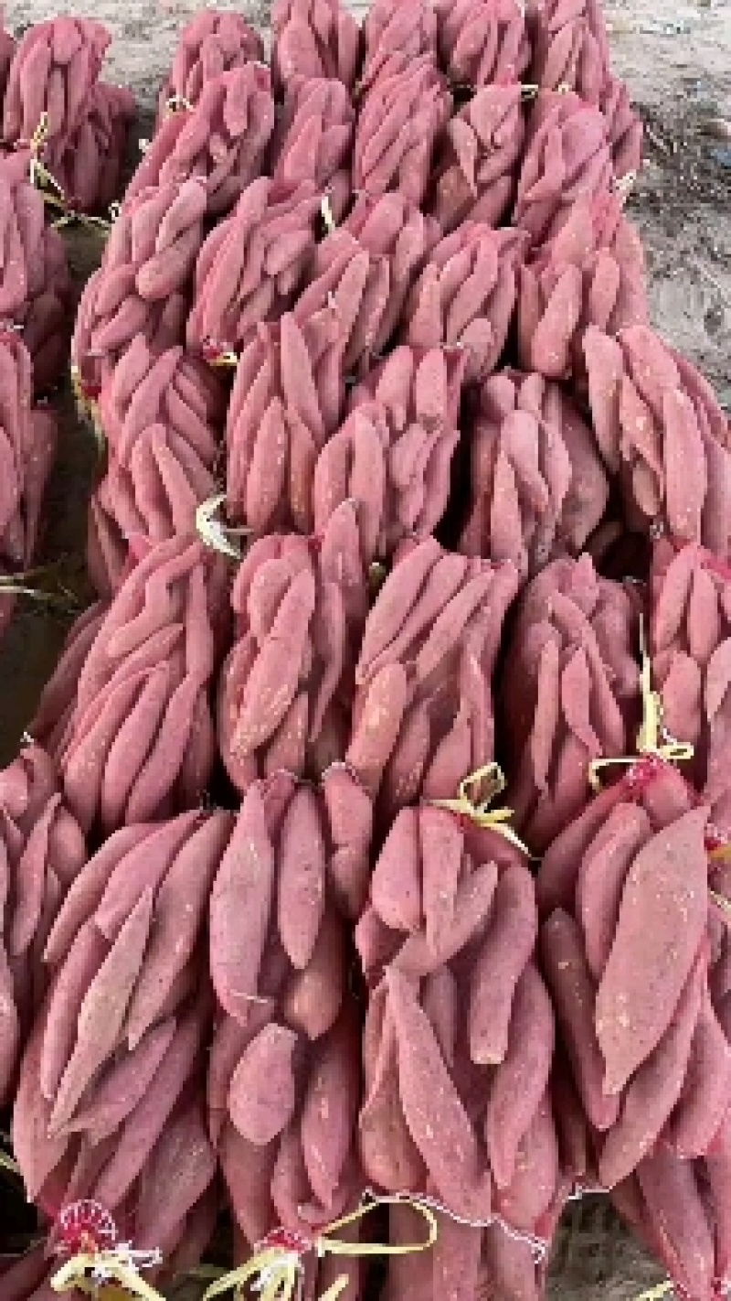 纯沙地西瓜红条形好颜色好糯甜糯甜的