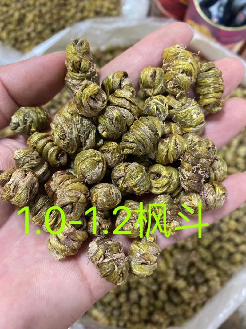 云南铁皮石斛枫斗干条全化渣胶质非常好产地大货批发