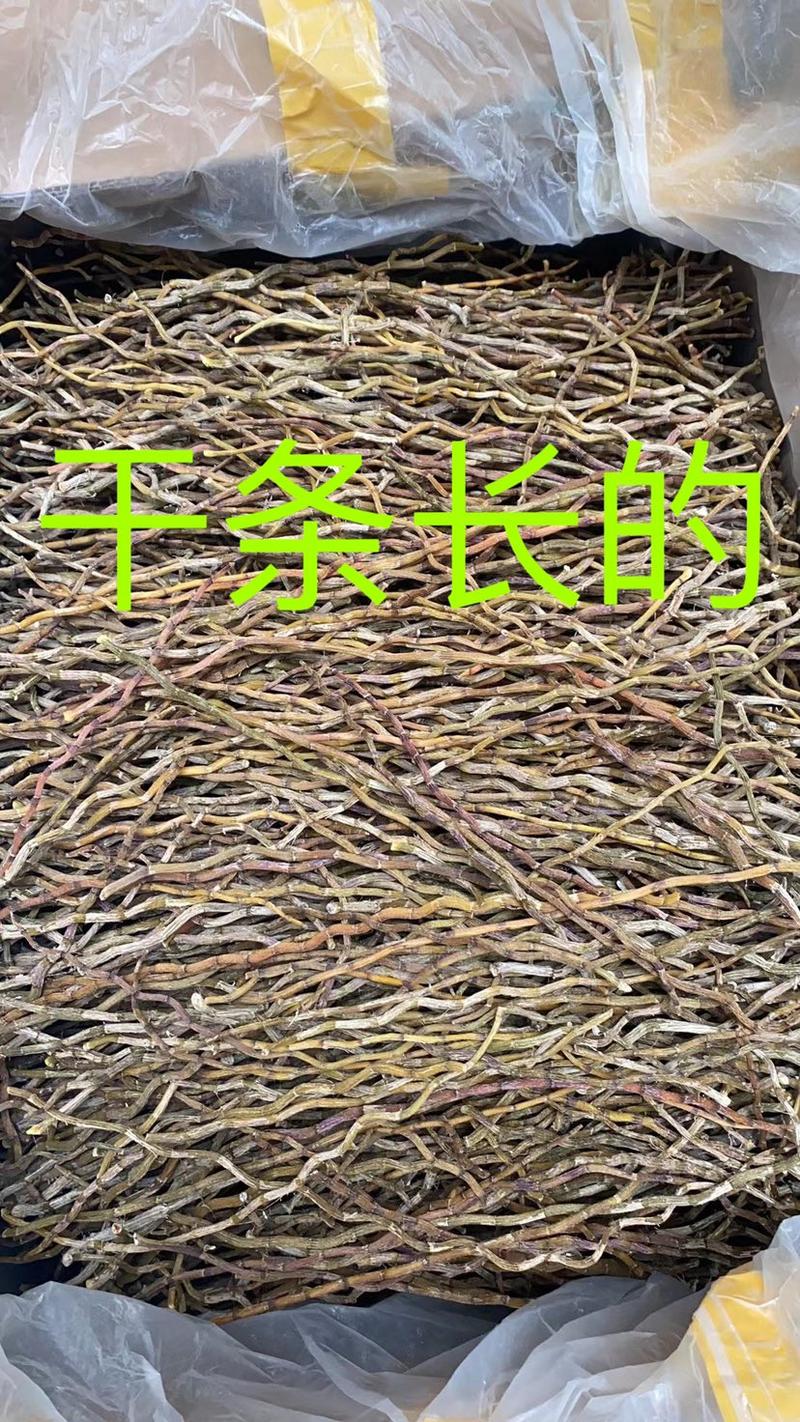云南铁皮石斛枫斗干条全化渣胶质非常好产地大货批发