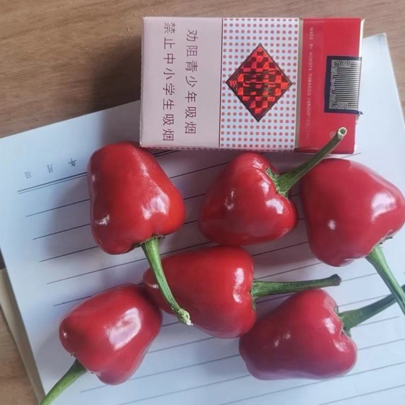 【推荐】草莓椒半干艳椒满天星圆珠椒灯笼椒鲜辣椒