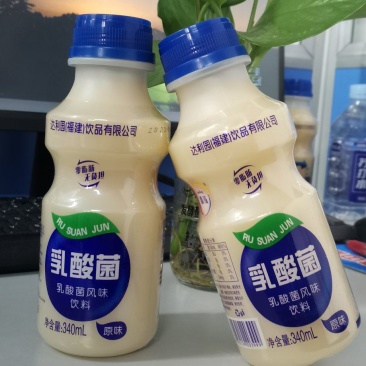 乳酸菌