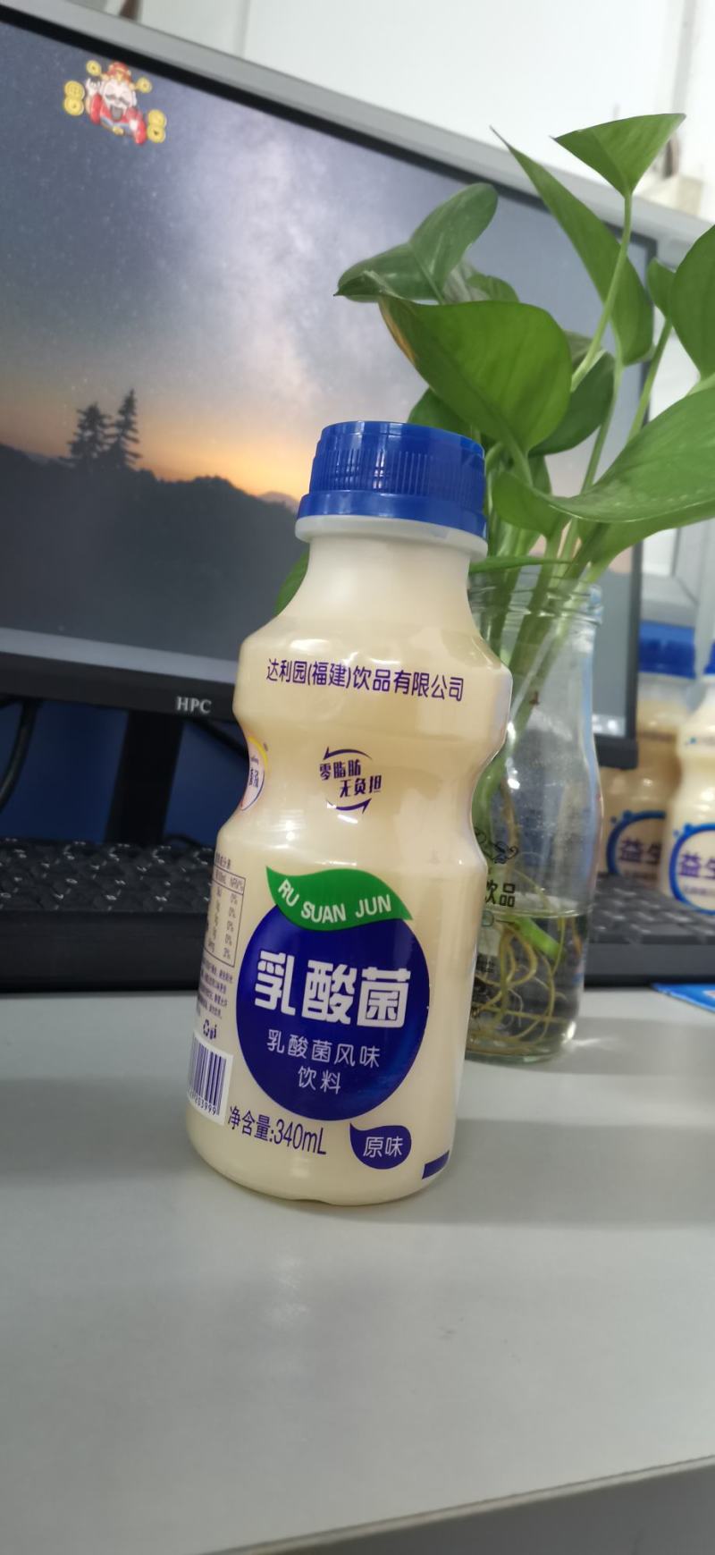 乳酸菌