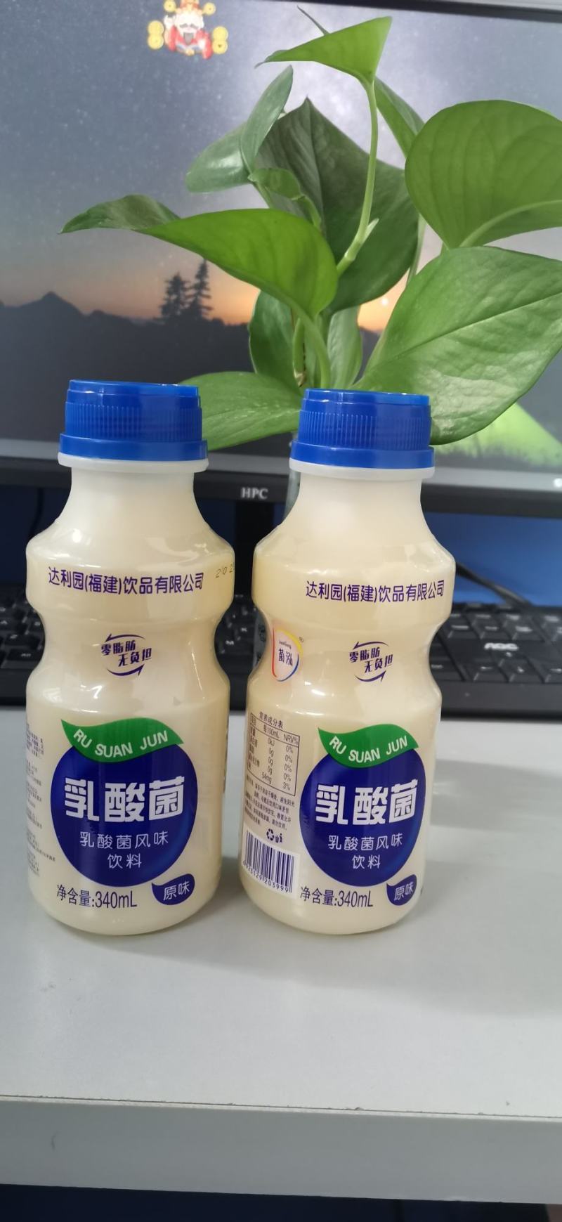 乳酸菌