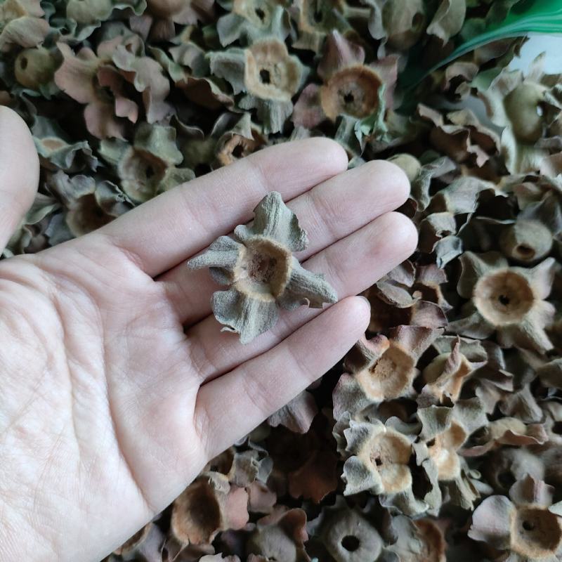 柿蒂花草类祥泰药材栈中药材批发零售实物拍摄量多从优