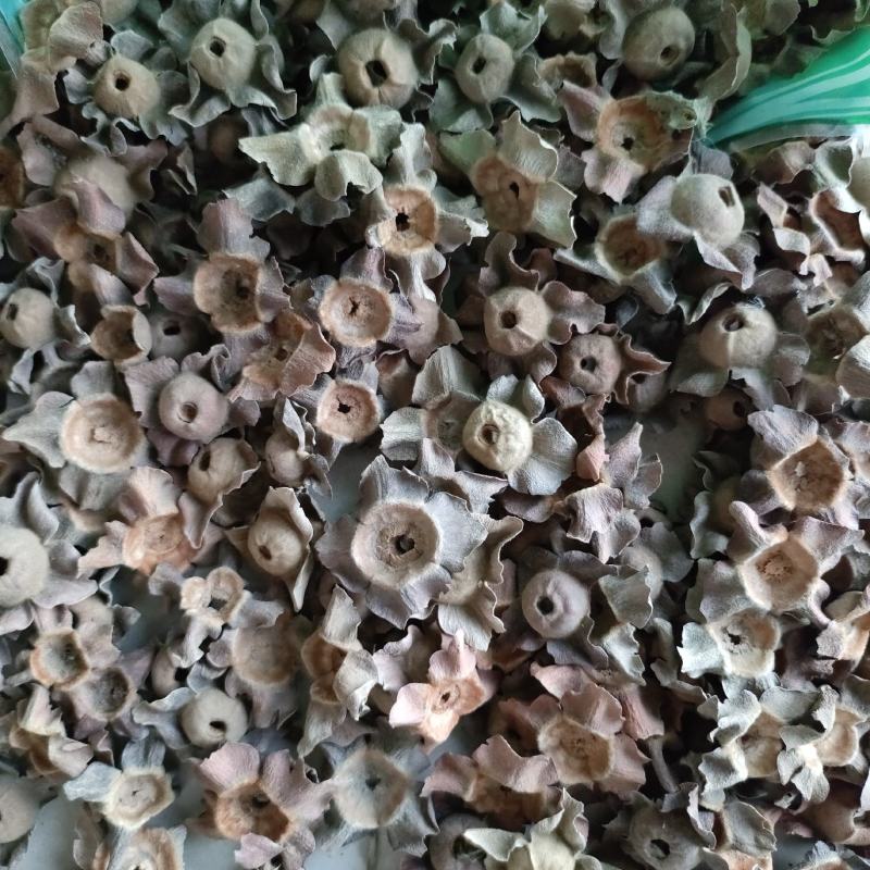 柿蒂花草类祥泰药材栈中药材批发零售实物拍摄量多从优