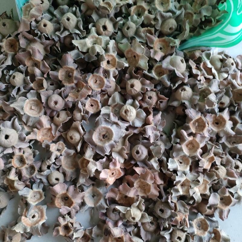 柿蒂花草类祥泰药材栈中药材批发零售实物拍摄量多从优