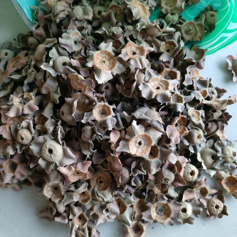 柿蒂花草类祥泰药材栈中药材批发零售实物拍摄量多从优
