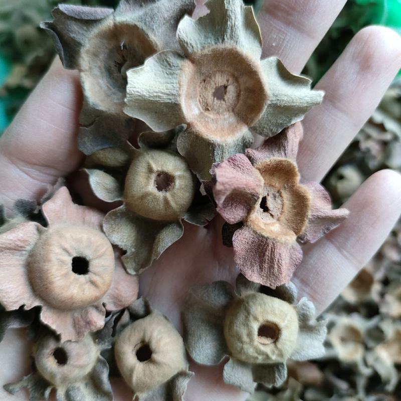 柿蒂花草类祥泰药材栈中药材批发零售实物拍摄量多从优