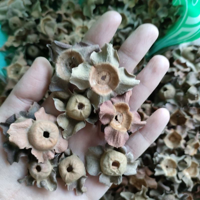 柿蒂花草类祥泰药材栈中药材批发零售实物拍摄量多从优