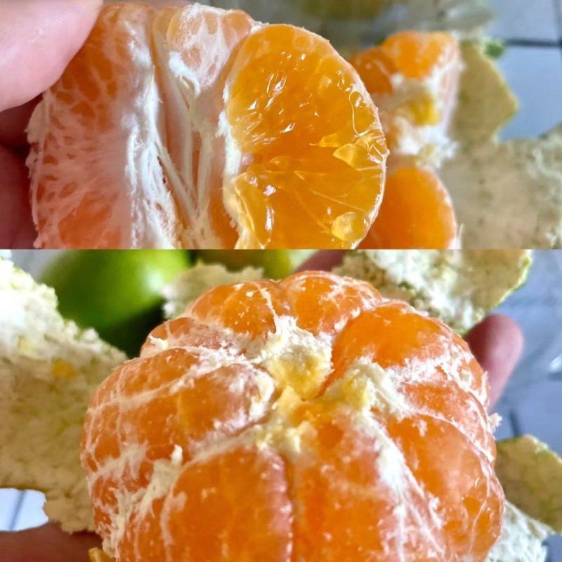 【蜜桔】产地直发皮薄味甜对接电商批发商出口外贸