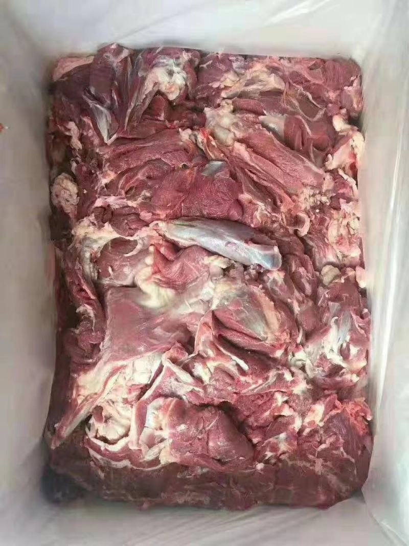 山东临沂羊肉品质保证全国发货