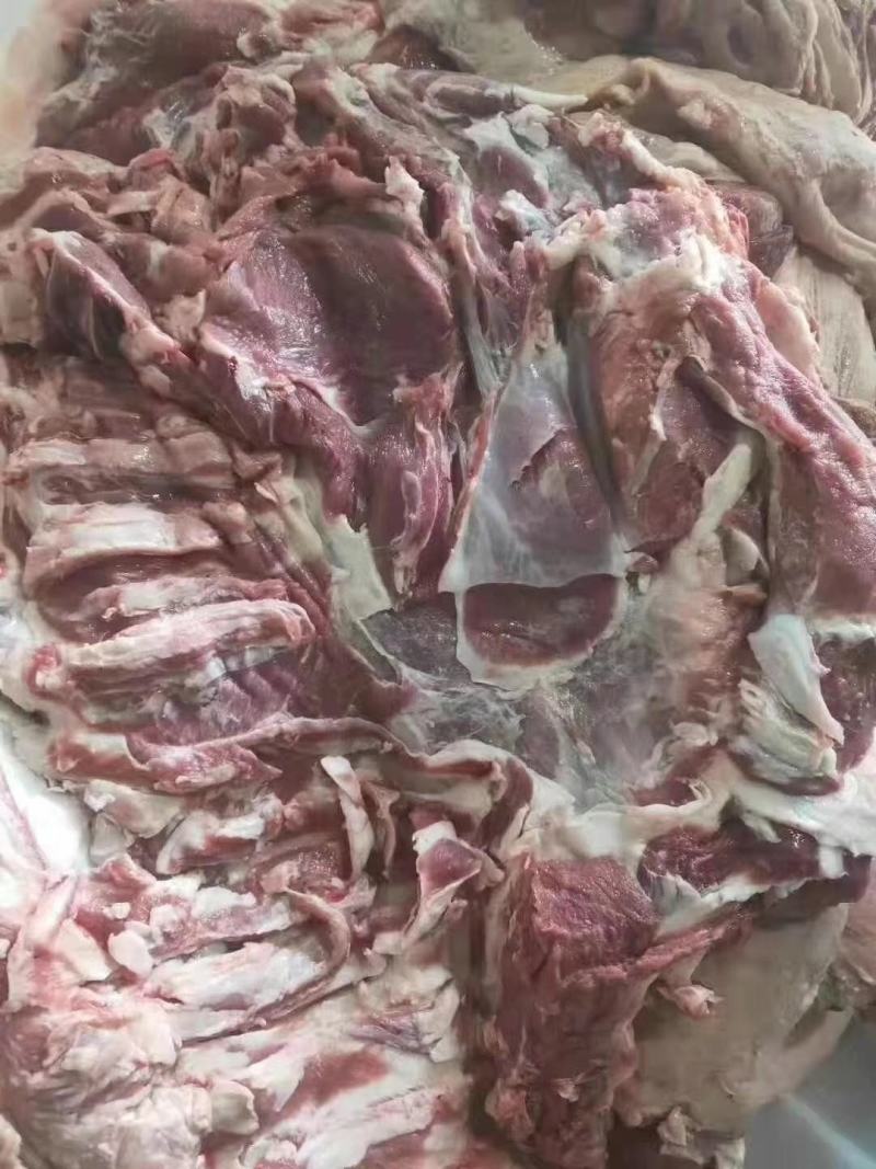 山东临沂羊肉品质保证全国发货