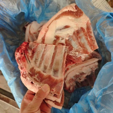 山东临沂羊排尖品质保证全国发货