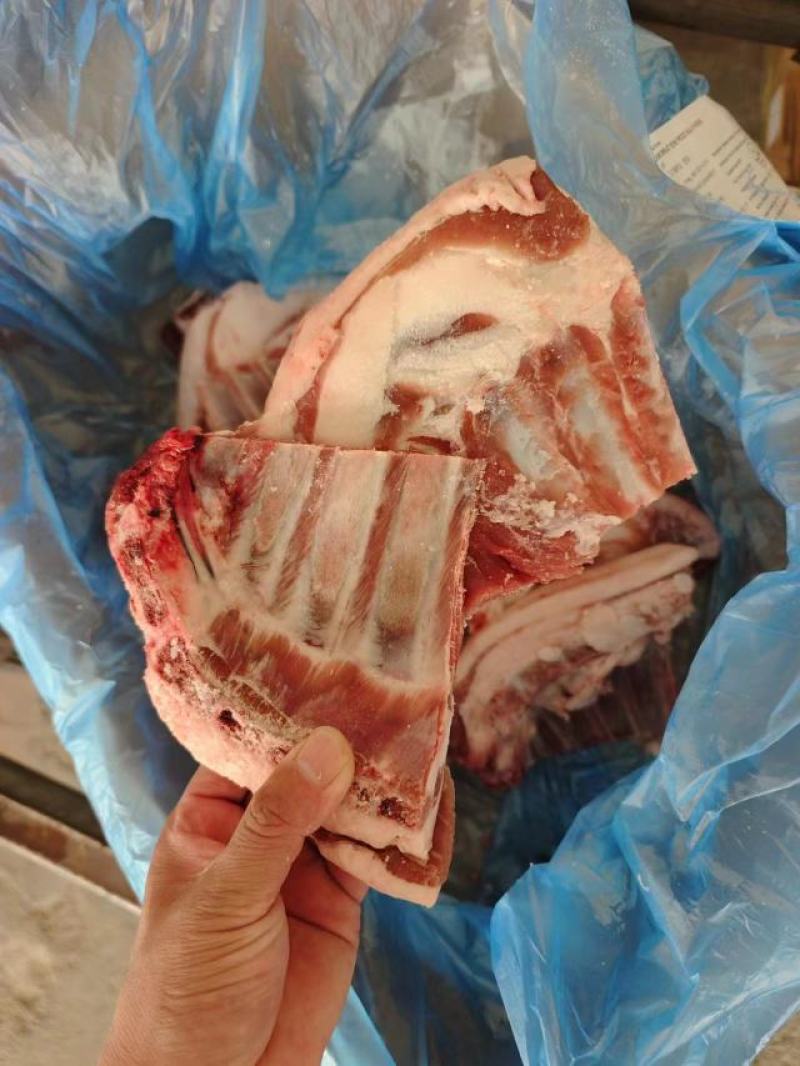 山东临沂羊排尖品质保证全国发货