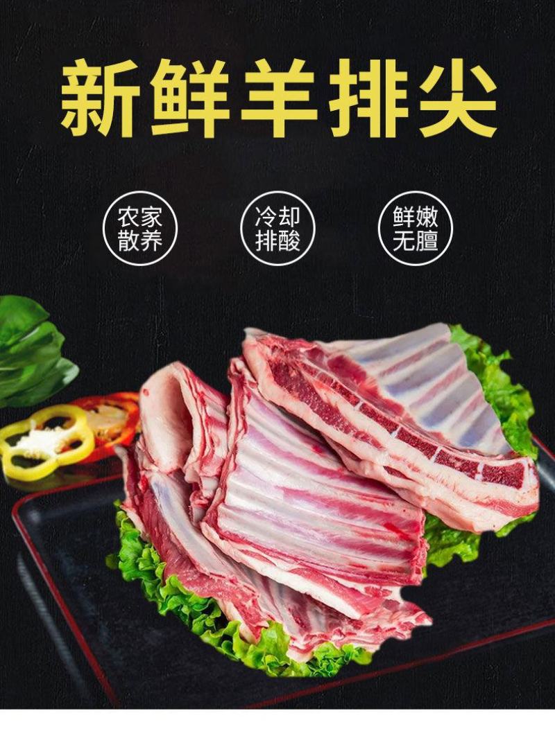 山东临沂羊排尖品质保证全国发货