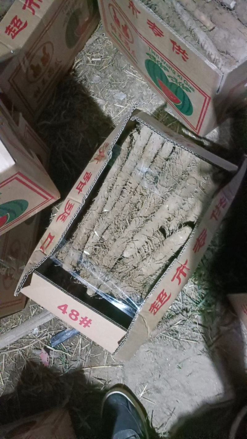 双棒山药，麻山药，电商！超市！社区团购精品加工！！！！！