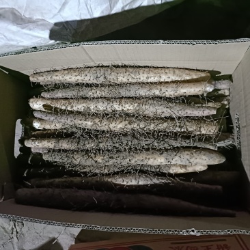 双棒山药，麻山药，电商！超市！社区团购精品加工！！！！！