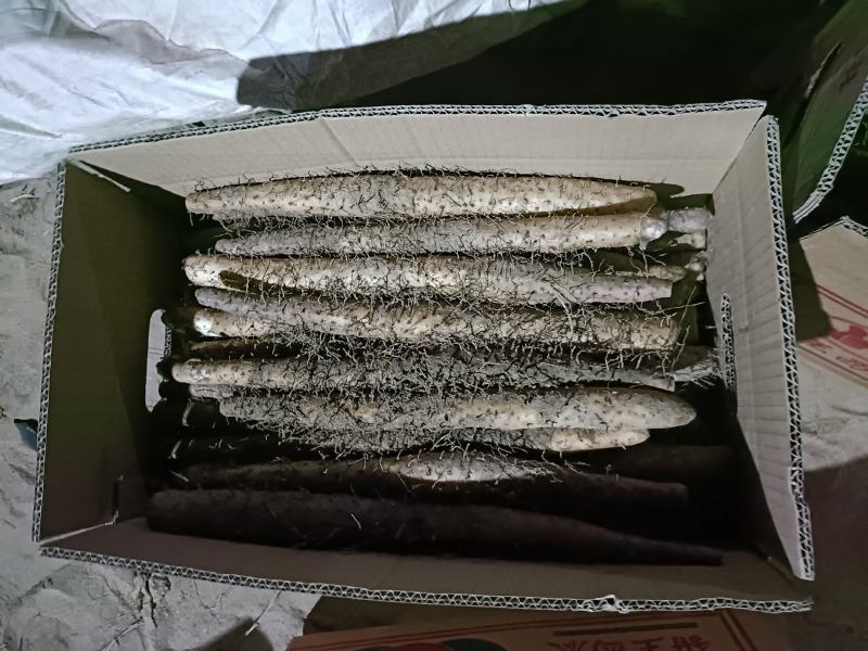 双棒山药，麻山药，电商！超市！社区团购精品加工！！！！！