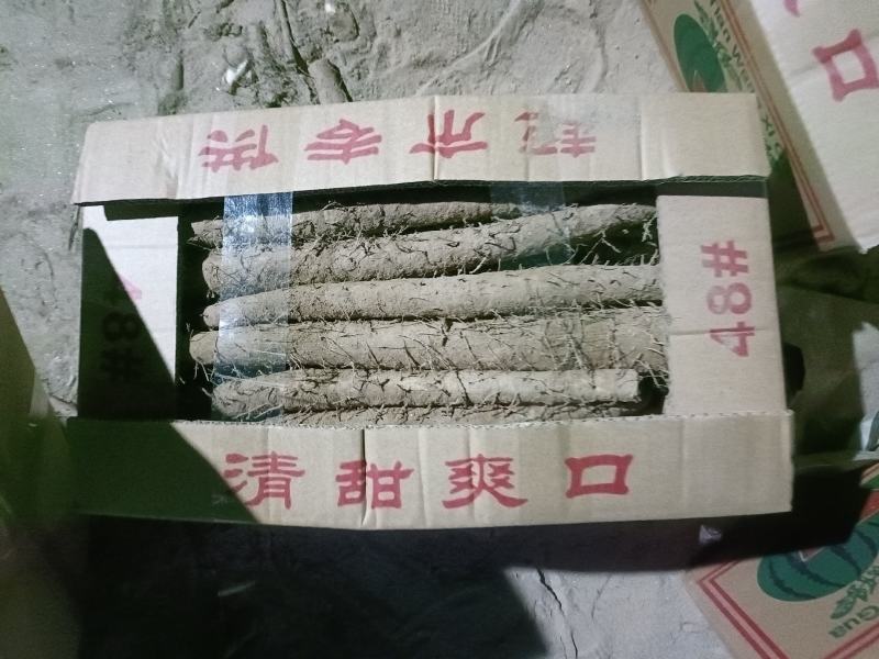 双棒山药，麻山药，电商！超市！社区团购精品加工！！！！！