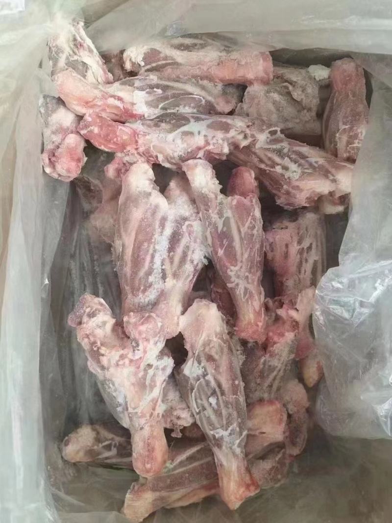 山东临沂羊金刚品质保证全国发货