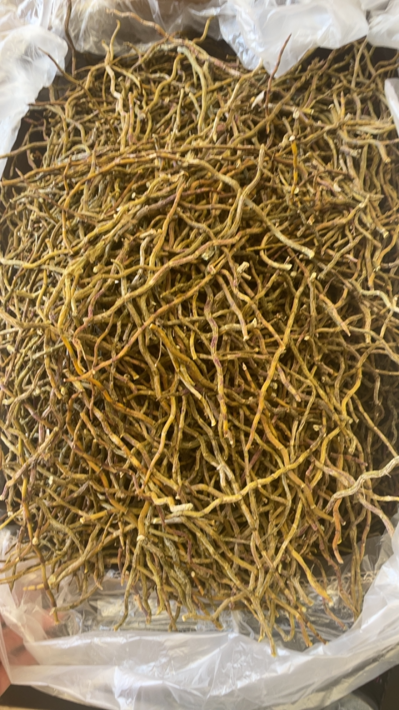 云南铁皮石斛干条理条芽条批发一手货源