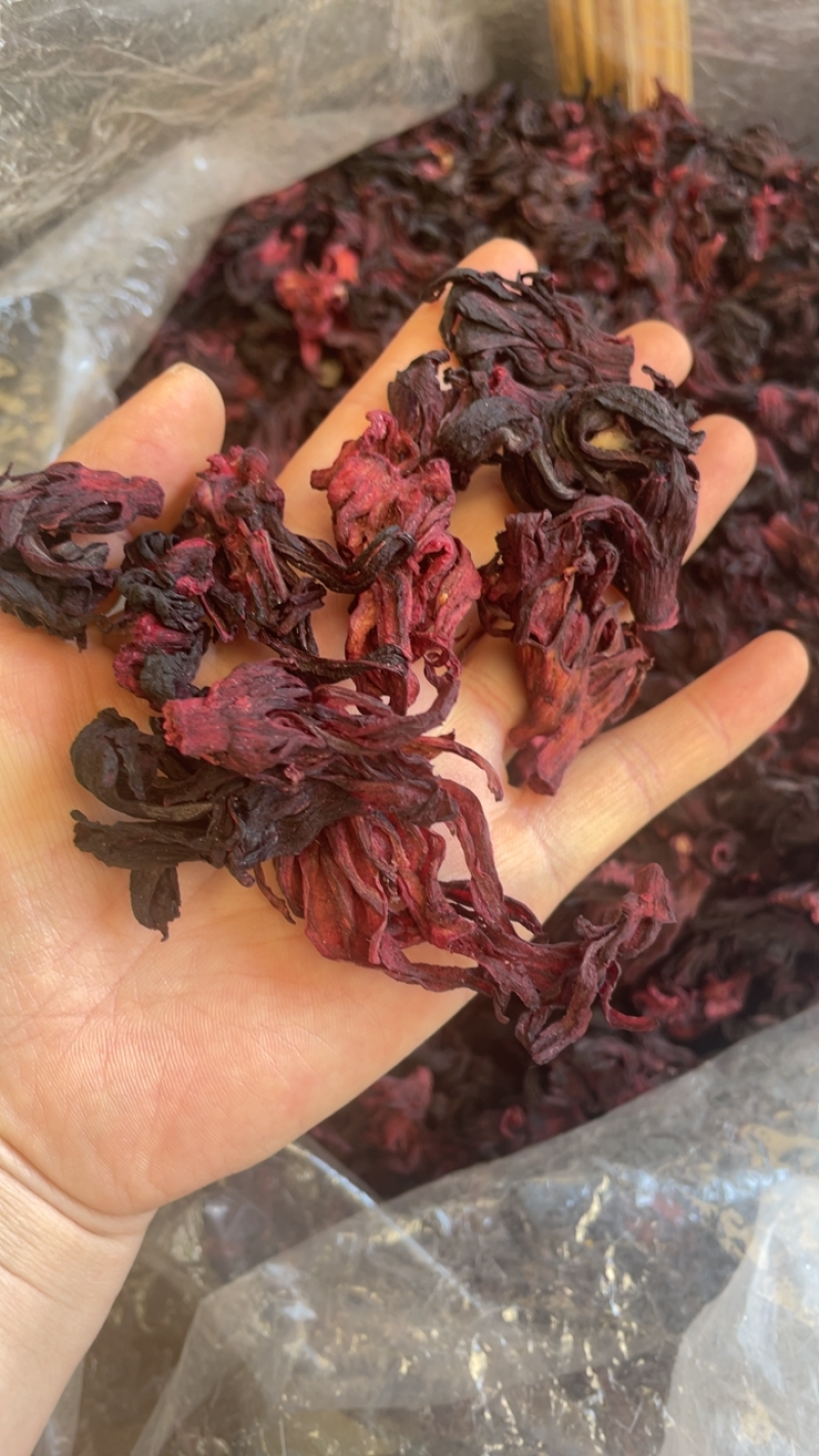 玫瑰茄一手货源大货批发