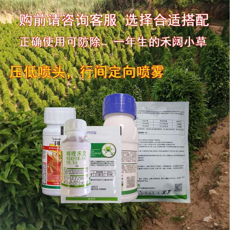 百部除草剂百部根苗后除草剂除禾阔尖叶圆叶草百部种植除杂草