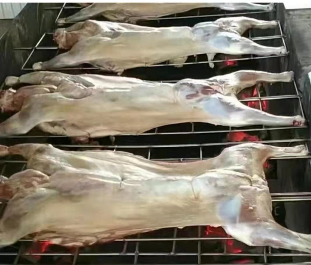 大型炭火烤架上正在烤制一只完整的白条羊,周围有厨师在翻转和刷调料 炭火烤制白条羊的场景