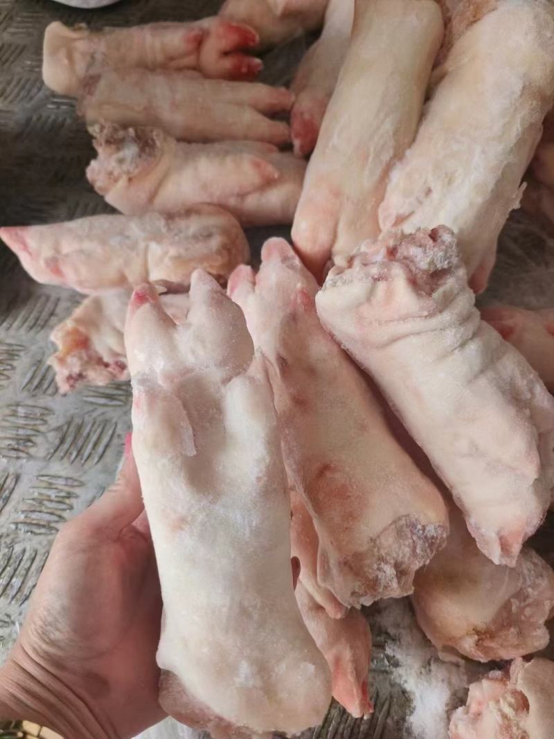 60小猪蹄，电商专用小猪蹄，货好一级，大量有货
