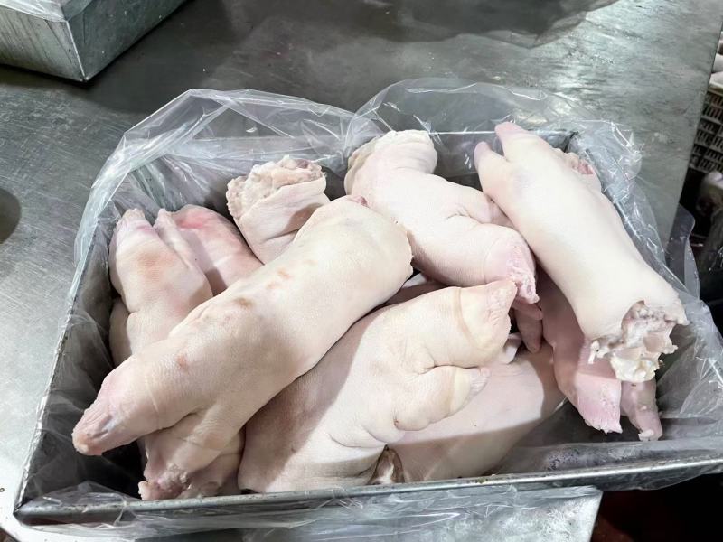 60小猪蹄，电商专用小猪蹄，货好一级，大量有货