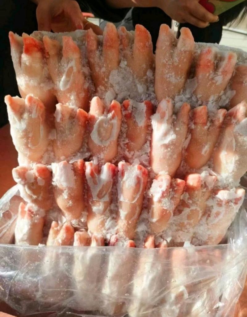 60小猪蹄，电商专用小猪蹄，货好一级，大量有货