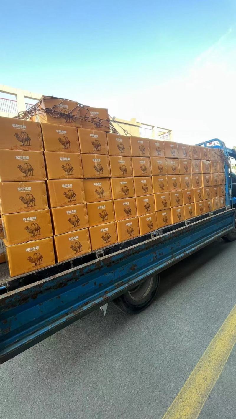 新疆特产手工驼奶疙瘩奶醇奶酪一件10公斤新疆发货