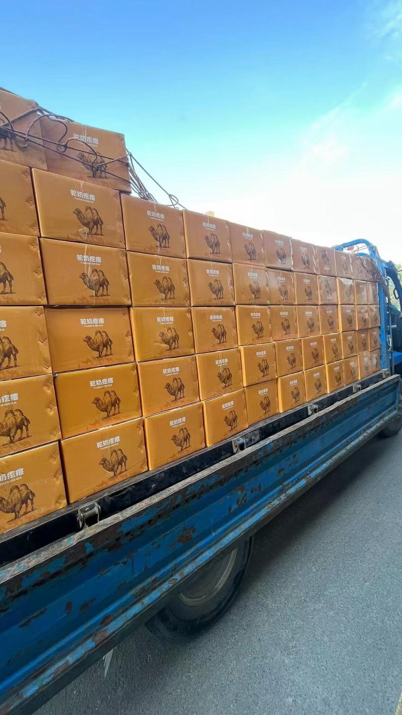 新疆特产手工驼奶疙瘩奶醇奶酪一件10公斤新疆发货