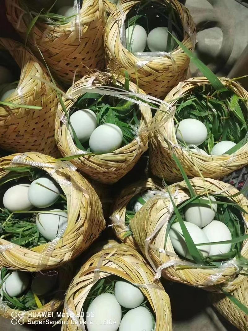 鸭蛋，雁鹅蛋，桶装蛋，散黄蛋，松花蛋，咸鸭蛋，五香咸鸭蛋