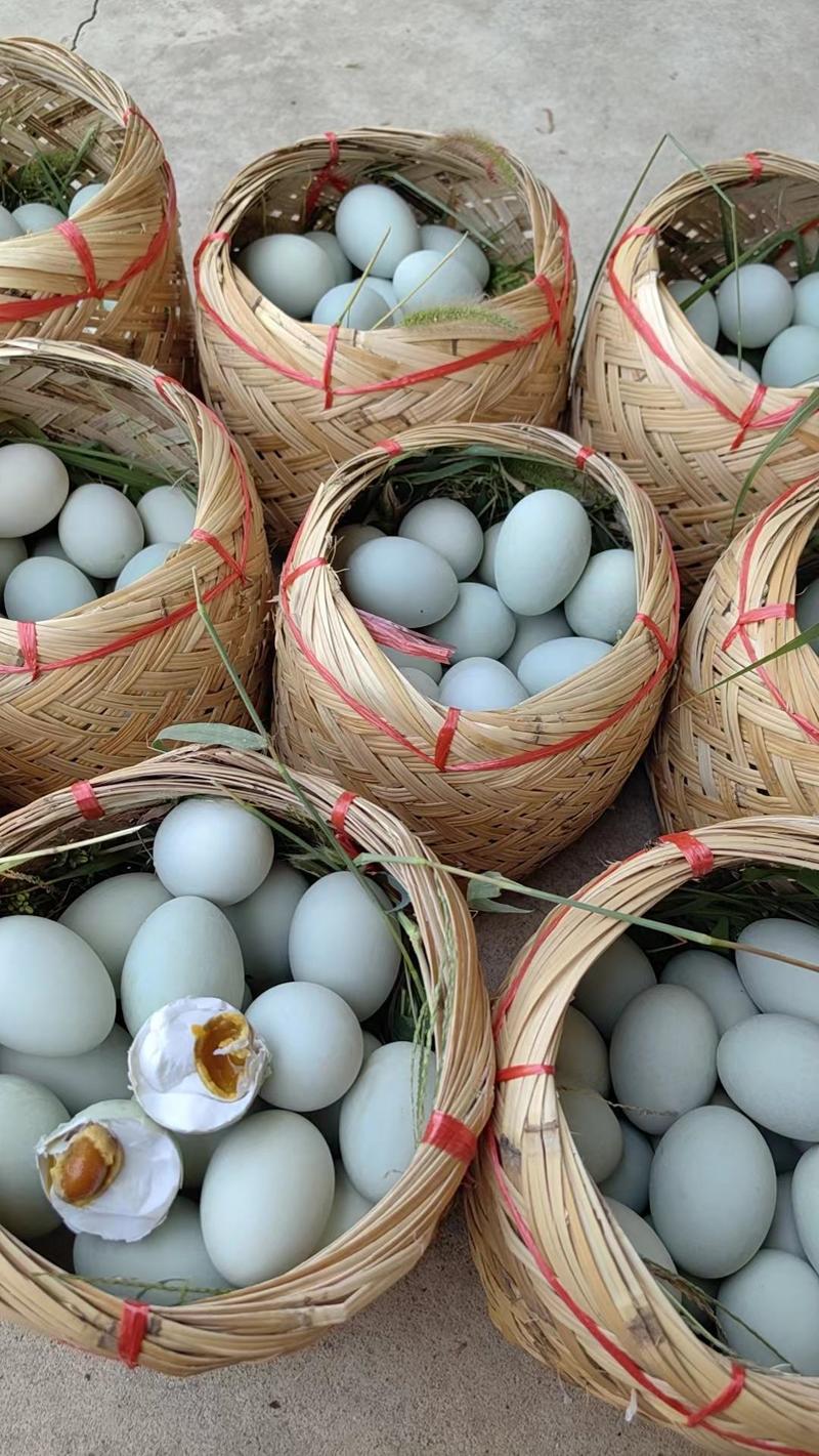 鸭蛋，雁鹅蛋，桶装蛋，散黄蛋，松花蛋，咸鸭蛋，五香咸鸭蛋