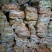 蛋鸡肠工厂直发全新货
